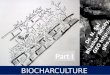 Biochar part 1