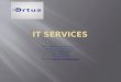 Ortus It services