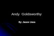 Andy  goldsworthy jason liess