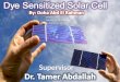 Dye sensitised solar cell
