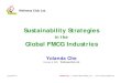 2011.5.13   Sustainability Strategies In The Global Fmcg Industries