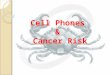Cell Phone and Cancer Risks