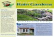 Austin Texas Rain Garden Fact Sheet
