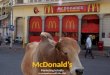 McDonald's Indian Marketing Analysis
