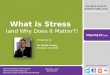 The Impact of Stress on Your Business Bottom Line