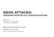 DDoS Attacks : Preparation Detection Mitigation