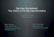Big Data Wonderland: Two Views on the Big Data Revolution