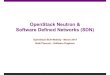 Openstack Neutron and SDN