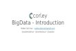 Big data, just an introduction to Hadoop and Scripting Languages