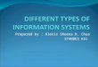 Different Types of  Information Systems  Alexis Chua SYANDES K31