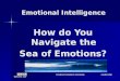 Emotional Intelligence -What is Your EQ?