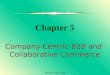 Company Centric B2b And  Collaborative Commerce