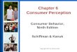 Chapter 6 Consumer Perception
