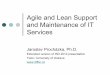 Agile and Lean support and maintenance of IT Services and Information systems
