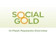 Social Gold In-Flash Payments Webinar