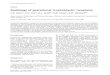 7111532 radiologia-na-neoplasia-trofoblastica-gestacional