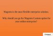 Magento Website Development and Customization Services