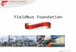Fieldbus Foundation Celebrates 20 Years!