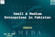 Small & Medium Enterprises In Pakistan