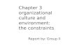 Organizational culture and environment the constraints