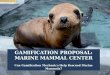 Gamification Certification Level 2 Project: Gamifying Marine Mammal Center