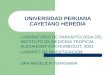 UNIVERSIDAD PERUANA CAYETANO HEREDIA LABORATORIO DE PARASITOLOGIA DEL INSTITUTO DE MEDICINA TROPICAL ALEXANDER VON HUMBOLDT. 2003 LABORES DE INVESTIGACION