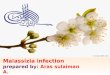 Malassezia infection