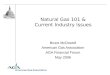 Natural Gas 101 - An Introduction to the Natural Gas Industry