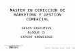 MASTER EN DIRECCION DE MARKETING Y GESTION COMERCIAL GESCO EXECUTIVE BLOQUE 2: EXPERT KNOWLEDGE Manuel Sevillano Bueno 2010 - 2011