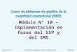 Revision N° 13ICAO Safety Management Systems (SMS) Course06/05/09 Módulo N° 10 – Implementación en fases del SSP y del SMS