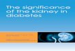 The significance of the kidney in diabetes