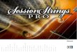 Session Strings Pro Manual English
