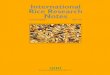 International Rice Research Notes Vol.19 No.1