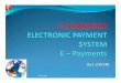 eCommerce E Payments - payment gateway - eBusiness transaction processing