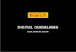 Digital Guidelines Pirelli V3
