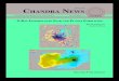 Chandra X-ray Observatory Newsletter 2010