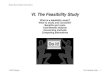Feasibility Sample