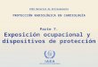 IAEA International Atomic Energy Agency Parte 7. Exposición ocupacional y dispositivos de protección OIEA Material de Entrenamiento PROTECCIÓN RADIOLÓGICA