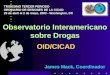 Observatorio Interamericano sobre Drogas James Mack, Coordinador TRIGESIMO TERCER PERIODO ORDINARIO DE SESIONES DE LA CICAD 29 de abril al 2 de mayo, 2003