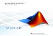 Embeded Matlab
