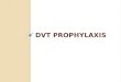 Dvt Prophylaxis 2