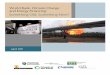World Bank, Climate Change and Energy Financing Report_Web