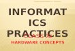 Informatics Practices XI (1)