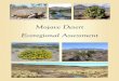 The Nature Conservancy s Mojave Desert Eco Regional Assessment 2010