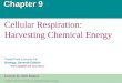 Chapter 9_Cellular Respiration, Harvesting Chemical Energy