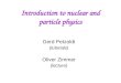 Introduction to nuclear and particle physics Gerd Petzoldt (tutorials) Oliver Zimmer (lecture)
