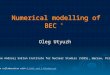 * Numerical modelling of BEC * Oleg Utyuzh The Andrzej Sołtan Institute for Nuclear Studies (SINS), Warsaw, Poland * In collaboration with G.Wilk and Z.WlodarczykG.Wilk