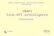 WiCON International and Brychem Business Consulting SNAPI Sino-API intelligence Simulation BRYCHEM