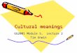Cultural meanings GG2001 Module 5, Lecture 2 Tim Unwin