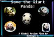 Save the Giant Panda! A Global Action Plan by Kathryn W. Iolite- Claire Voyant
